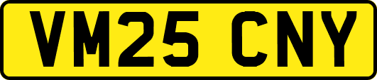 VM25CNY