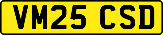VM25CSD