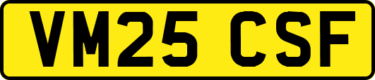 VM25CSF