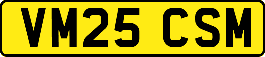 VM25CSM