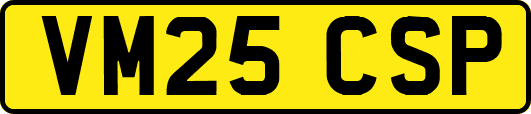 VM25CSP