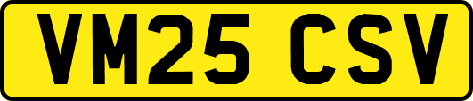 VM25CSV