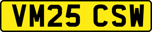 VM25CSW