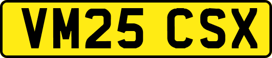 VM25CSX