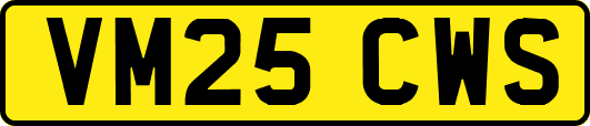 VM25CWS