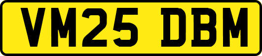 VM25DBM