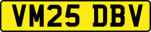 VM25DBV