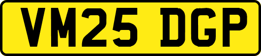 VM25DGP