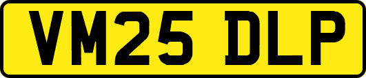VM25DLP