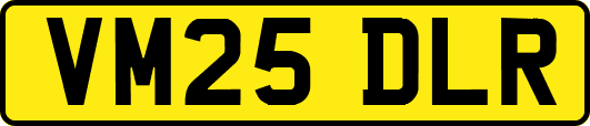 VM25DLR