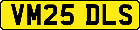 VM25DLS