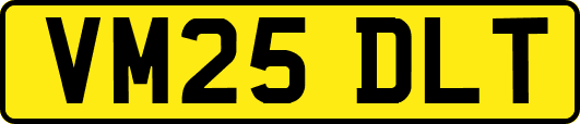 VM25DLT