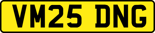 VM25DNG