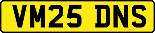 VM25DNS