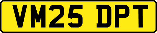VM25DPT