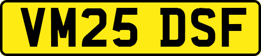 VM25DSF