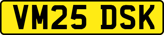 VM25DSK