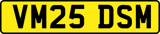 VM25DSM