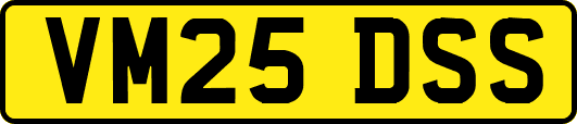 VM25DSS