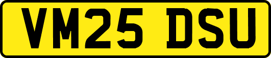 VM25DSU