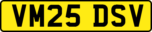 VM25DSV
