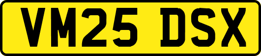 VM25DSX