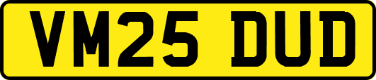 VM25DUD