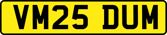 VM25DUM