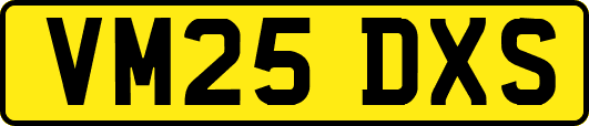 VM25DXS