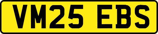VM25EBS