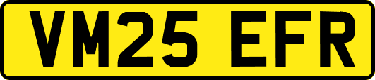 VM25EFR