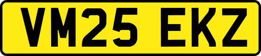 VM25EKZ