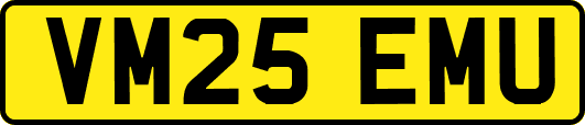 VM25EMU