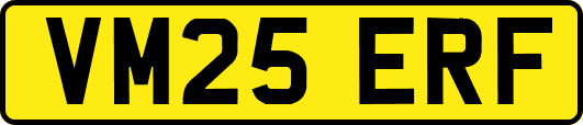 VM25ERF