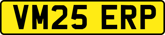 VM25ERP