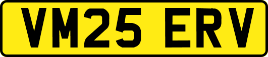 VM25ERV