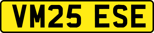 VM25ESE
