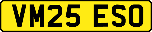 VM25ESO