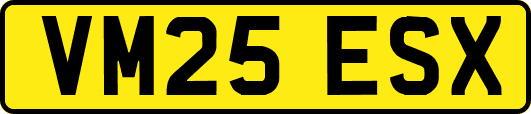 VM25ESX