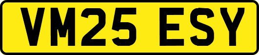 VM25ESY