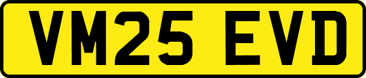 VM25EVD