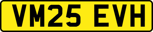 VM25EVH