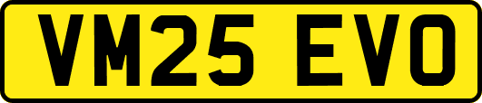 VM25EVO