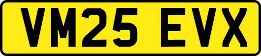 VM25EVX