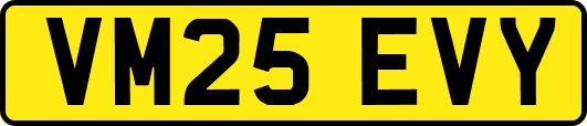 VM25EVY