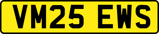 VM25EWS