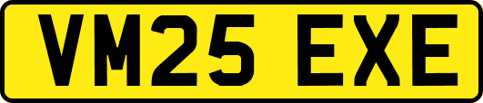 VM25EXE