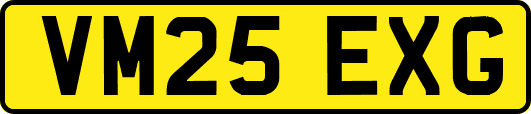 VM25EXG