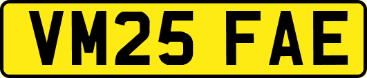 VM25FAE