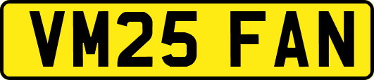 VM25FAN